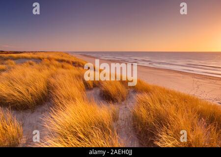 Hohe Dünen mit Dünengras und einem breiten Strand unten. Fotografiert bei Sonnenuntergang auf der Insel Texel in den Niederlanden. Stockfoto