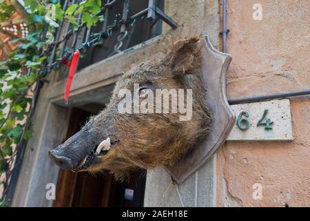 Wildschweine als Lieblingsessen, Detail aus einem kleinen Restaurant in Volterra, Toskana, Italien Stockfoto