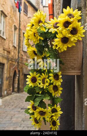 Sonnenblumen durch die Tür an der engen, gewundenen Straße in der Stadt Voltera, Toskana, Italien Stockfoto