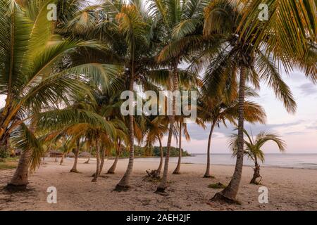 Playa Larga, Matanzas, Cuba, Nordamerika Stockfoto