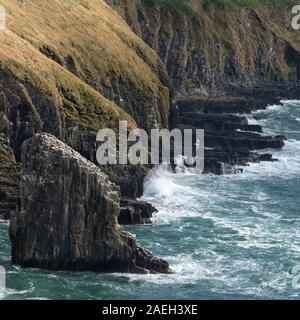 Blick auf die Küste, alten Kopf von Kinsale, Kinsale, County Cork, Irland Stockfoto