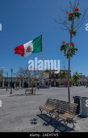 Der Stadtplatz in Jose del Cabo, Baja California Sur, Mexiko, mit einer blühenden African Tulip Tree und Menschen zu Fuß vorbei an der mexikanischen Flagge. Stockfoto