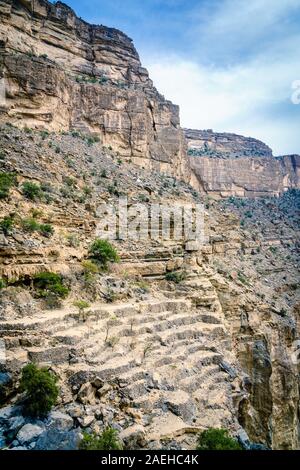 Ansicht der alten terrassierten Feldern im Wadi Ghul, Jebel Shams, Oman Stockfoto