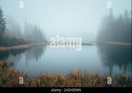 Misty Morning bis Herbst See, ruhige Landschaft, weißen Raum bearbeiten. Stockfoto