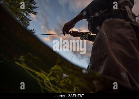 Ein Fliegenfischer waten mit einem Unterwasser Perspektive. Stockfoto