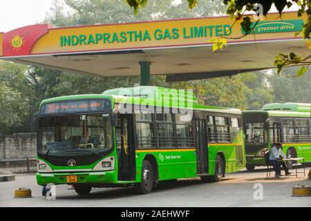 Alle Delhi Busse mit komprimiertem Erdgas (CNG), es ist die weltweit größte umweltfreundliche Busflotte, und hat dazu beigetragen, die Delhi Luft quali zu verbessern. Stockfoto