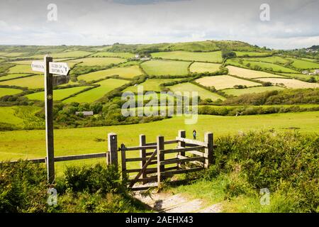 Ein Teil der South West Coast Path in der Nähe von Charmouth in Dorset, England, mit typischen Dorset, die hügelige Landschaft. Stockfoto