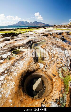 Felsen und Meer Unkraut in der Bucht Laig am Cleadale auf der Insel Eigg, mit Blick auf die Isle of Rum, Schottland, UK. Stockfoto