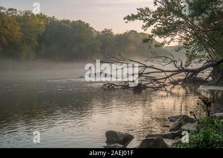 Ein Mann Fliegenfischen auf der nebligen Misty River in den frühen Morgen Sonnenaufgang mit den bunten Herbst Bäume im Hintergrund im Herbst Stockfoto