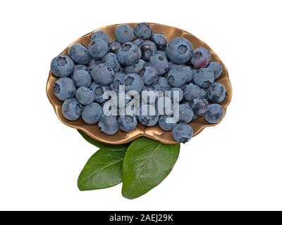 Heidelbeeren in eine Schüssel vor weißem Hintergrund Stockfoto