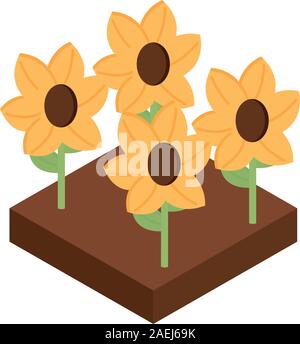 Farm pflanzen Sonnenblumen ländlichen isometrische Symbol Vektor illustration Stock Vektor
