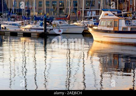 Der Yachthafen von Arbroath Hafen mit Yachten und Sportboote gefüllt, beleuchtet von der warmen gerichtetes Licht der tief stehenden Sonne am Ende des Tages. Stockfoto