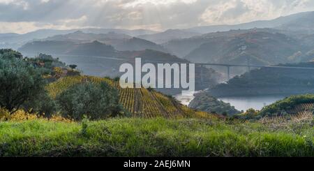 Brücke über einen Fluss, Lamego Gemeinde, Viseu District, Douro-tal, Portugal Stockfoto