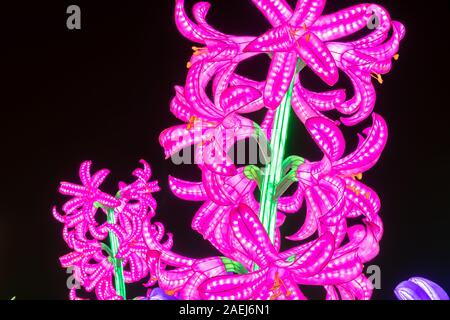 Nahaufnahme einer chinesischen Laterne wie rosa Hyazinthen Blumen geformt. Stockfoto