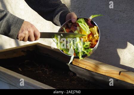 Ökologie Kompost versorgen - Küche das Recycling von Abfällen im Hinterhof Komposter. Umweltfreundlichen Lebensstil. Der Mann wirft übrig gebliebene Gemüse aus. Stockfoto