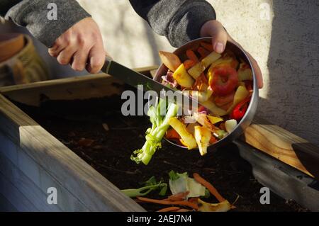 Ökologie Kompost versorgen - Küche das Recycling von Abfällen im Hinterhof Komposter. Umweltfreundlichen Lebensstil. Der Mann wirft übrig gebliebene Gemüse aus. Stockfoto