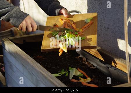 Ökologie Kompost versorgen - Küche das Recycling von Abfällen im Hinterhof Komposter. Der Mann wirft übrig gebliebene Gemüse aus dem Schneidebrett. Ökologisch fri Stockfoto