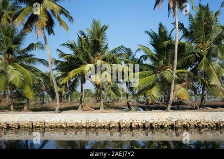 Keralan Backwaters, Indien Stockfoto