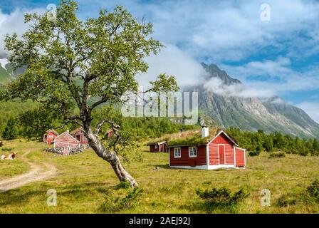 Weltkulturerbe Myklebustsetra Alm, roten und weißen Holzhäuser im Tal des Sunnmoere Follestaddal, Alpen, Mehr og Romsdal, Norwa Stockfoto