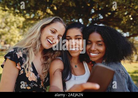 Close-up lächelt freundlich Fröhlich glücklich attraktive Gruppe von Freunden eine selfie auf Handy im Park an einem sonnigen Tag Stockfoto