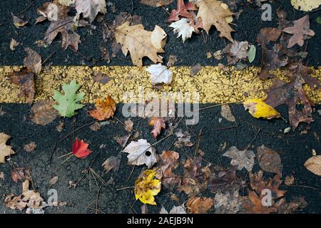 Unten auf Blatt übersäten Radweg im Herbst. Stockfoto