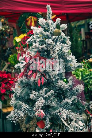 White Pine Tree mit bunten Blättern und Kugeln dekoriert Stockfoto