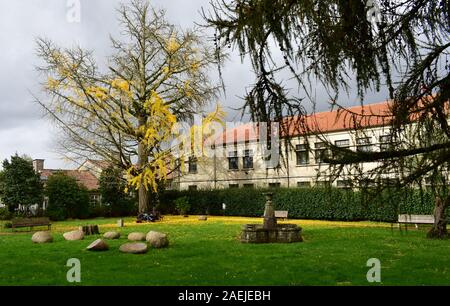 Ein paar, die eine Städtereise in einem Park mit Farben des Herbstes. Sie liest, ist er Zeichnung. Santiago de Compostela, Spanien. 30.November 2019. Stockfoto