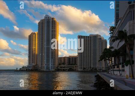 Riverside Walk, Miami, mit Palmen und hohen Gebäuden in noch Wasser der Bucht widerspiegelt Stockfoto