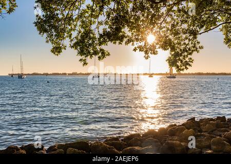 Sonnenuntergang über der Sarasota Bay ab dem Bayfront Park in Sarasota, Florida, USA gesehen Stockfoto