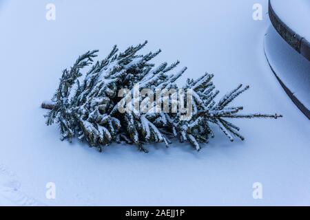 Nachdem die Bäume am Ende draußen im Schnee Weihnachten Stockfoto