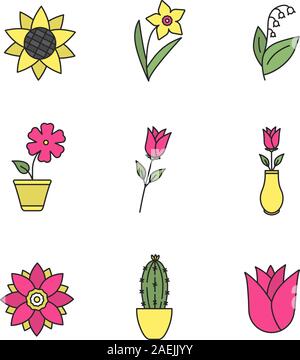 Blumen Farbe Symbole gesetzt. Sonnenblume Kopf, Narzisse, Mai - Lily, Hibiskus, Rosen, Lotus, Kaktus, Rosebud. Isolierte Vektorgrafiken Stock Vektor
