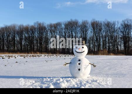 Lustige Schneemann in eleganten schwarzen Hut auf schneebedeckten Feld. Frohe Weihnachten und ein glückliches Neues Jahr! Stockfoto