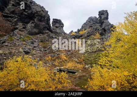 Gelbe Pflanzen und Verkümmerten Bäumen und dunklen vulkanischen Felsen, Myvatn, Island Stockfoto