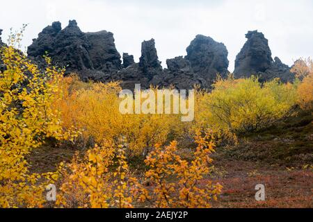 Gelbe Pflanzen und Verkümmerten Bäumen und dunklen vulkanischen Felsen, Myvatn, Island Stockfoto