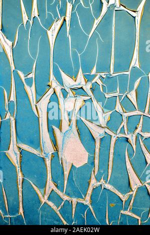 Textur des alten Platzen pvc-Papier auf der Betonwand. Blue geknackt Schutzfolie mit verdrillten Kanten mit Gold falsche Seite. Beschädigte peeling Wand cov Stockfoto