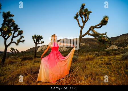 Traum - wie Szene. Elegante Frau, ein ausgefallenes Kleid tragen und stehen wie ein Märchen unter den Joshua Bäume bei Sonnenuntergang, Joshua Tree National Park, Californ Stockfoto