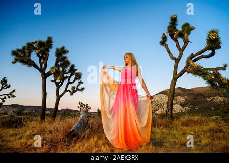 Traum - wie Szene. Elegante Frau, ein ausgefallenes Kleid tragen und stehen wie ein Märchen unter den Joshua Bäume bei Sonnenuntergang, Joshua Tree National Park, Californ Stockfoto