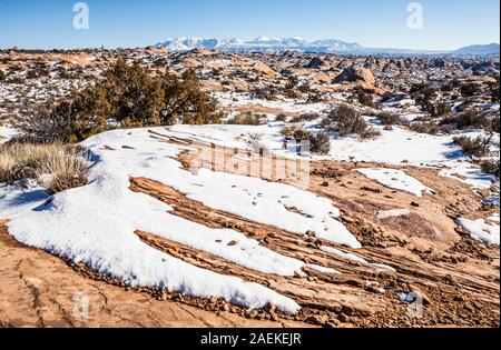 Die versteinerten Dünen der Arches National Park und die La Sal Mountains, Utah, USA. Stockfoto