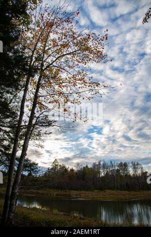 Schönen Himmel auf einem Maine Herbst Morgen Stockfoto