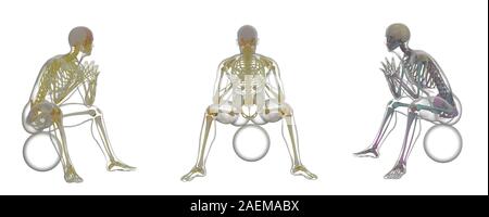 3D Rendering Illustration von skelett knochen Anatomie Stockfoto