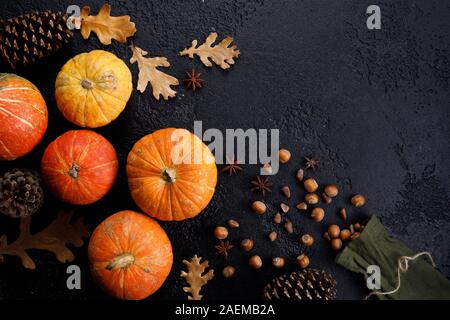 Herbst Rahmen aus Kürbissen, Baum, Blätter, Haselnüsse auf schwarzem Hintergrund. Herbst, Herbst, Thanksgiving Konzept. Flach, Ansicht von oben, kopieren. Stockfoto