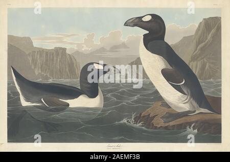 Robert Havell nach John James Audubon, Riesenalk, 1836, Riesenalk; 1836 Datum Stockfoto