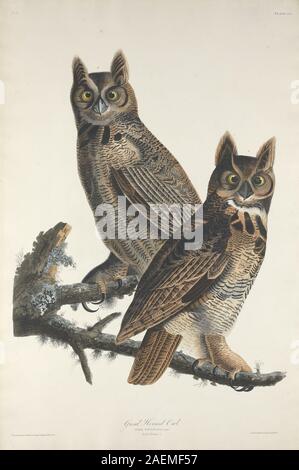Robert Havell nach John James Audubon, Great Horned Owl, 1829, Great Horned Owl; 1829 Datum Stockfoto