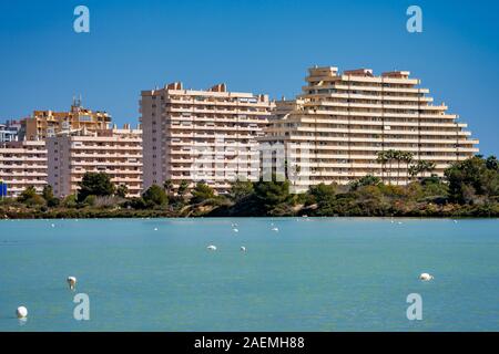 Las Salinas See in Calpe, Spanien mit einigen Flamingos. Stockfoto