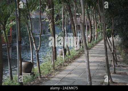 Stein Pfad auf der Allee von tropischen Bäumen in der Nähe des Teiches. Vietnam. Stockfoto