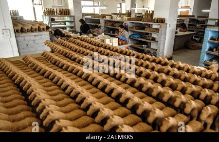 Terrakotta Pferde sind in einer Anlage in der Terracotta Krieger Dorf in der Stadt Xi'an, im Nordwesten der chinesischen Provinz Shaanxi, 8 November 2019 gesäumt. Rura Stockfoto