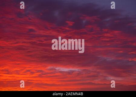 Wimbledon, London, UK. 10. Dezember 2019. Red Sky in den Morgen. Startling rote Wolken über South West London vor Sonnenaufgang. Credit: Malcolm Park/Alamy Leben Nachrichten. Stockfoto