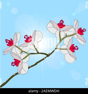 blühende Orchideen auf einem Hintergrund Zweig Stock Vektor