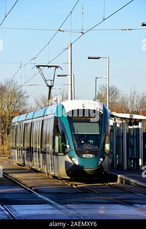 Nottingham Straßenbahn an der Haltestelle David Lane, Basford, Nottingham, England, Großbritannien Stockfoto