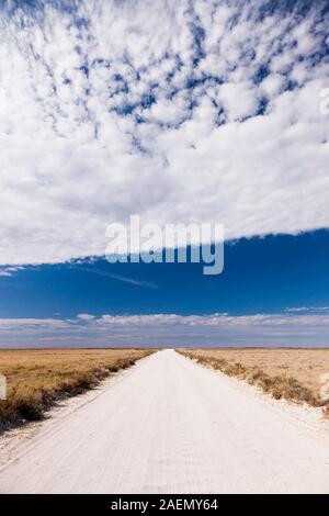 Weißer Schotter, gerade Straße, auf Wüstenpfanne, Salzpfanne, Etosha-Nationalpark, Namibia, Südliches Afrika, Afrika Stockfoto